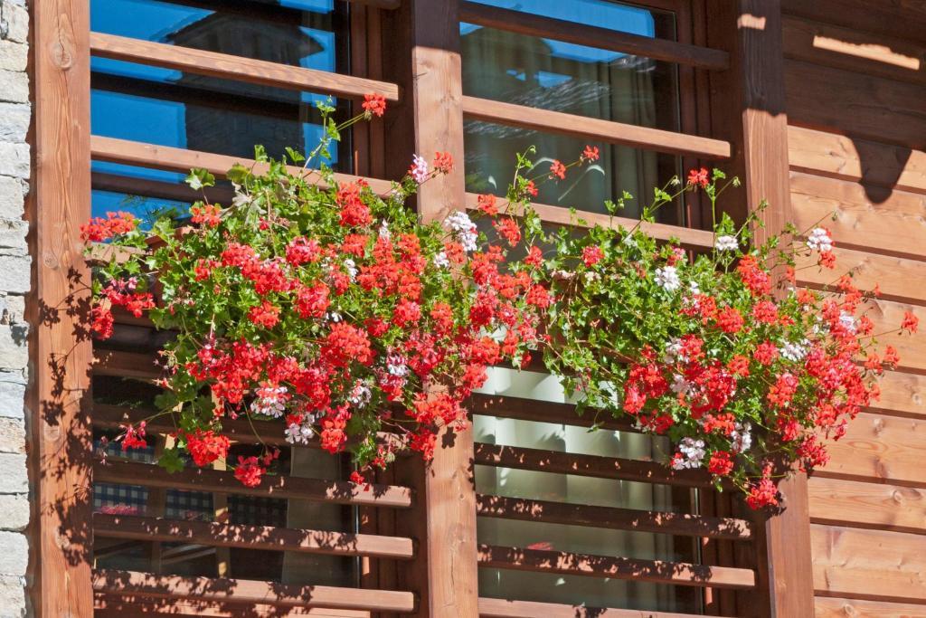 Pietre Gemelle Resort Alagna Valsesia Buitenkant foto